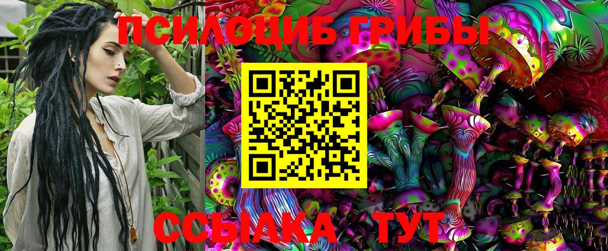 Сердобск  Псилоцибиновые грибы MAGIC MUSHROOMS  Вход с VPN 