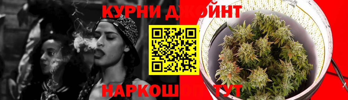 Шишки марихуана OG Kush  Вход с VPN  Сердобск  Бошки марихуана семена  Канабис Amnesia  Марихуана Amnesia 